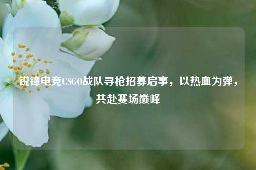 锐锋电竞CSGO战队寻枪招募启事,以热血为弹,共赴赛场巅峰