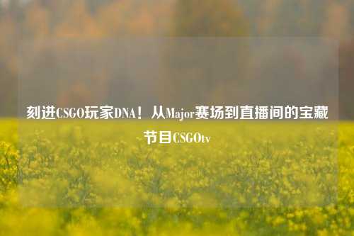 刻进CSGO玩家DNA！从Major赛场到直播间的宝藏节目CSGOtv