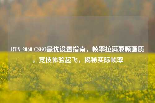 RTX 2060 CSGO最优设置指南,帧率拉满兼顾画质,竞技体验起飞,揭秘实际帧率