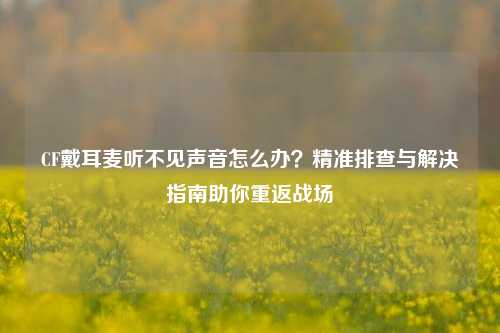 CF戴耳麦听不见声音怎么办？精准排查与解决指南助你重返战场