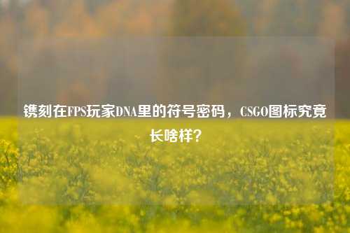 镌刻在FPS玩家DNA里的符号密码,CSGO图标究竟长啥样?