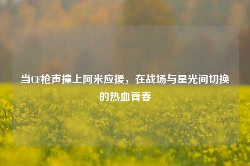 当CF枪声撞上阿米应援,在战场与星光间切换的热血青春