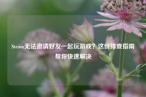 Steam无法邀请好友一起玩游戏?这份排查指南帮你快速解决