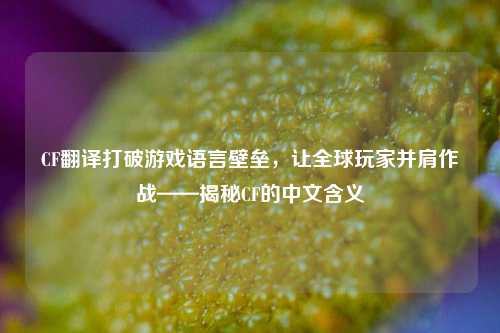CF翻译打破游戏语言壁垒,让全球玩家并肩作战——揭秘CF的中文含义