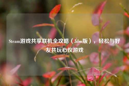 Steam游戏共享联机全攻略(3dm版),轻松与好友共玩心仪游戏
