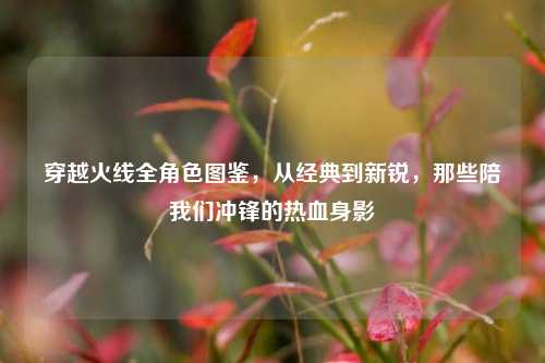 穿越火线全角色图鉴,从经典到新锐,那些陪我们冲锋的热血身影