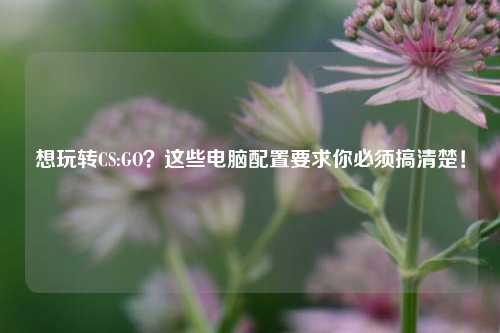 想玩转CS:GO？这些电脑配置要求你必须搞清楚！