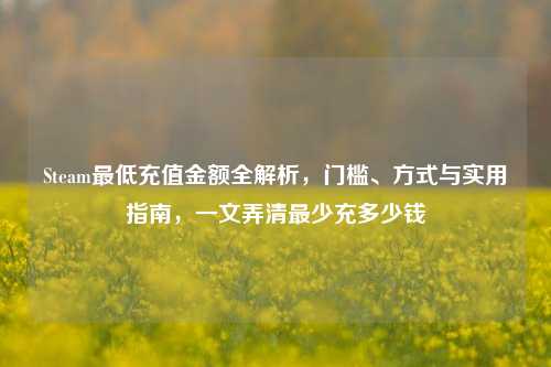 Steam最低充值金额全解析，门槛、方式与实用指南，一文弄清最少充多少钱