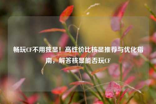 畅玩CF不用独显!高性价比核显推荐与优化指南,解答核显能否玩CF