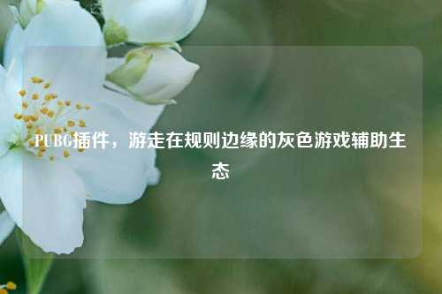 PUBG插件,游走在规则边缘的灰色游戏辅助生态
