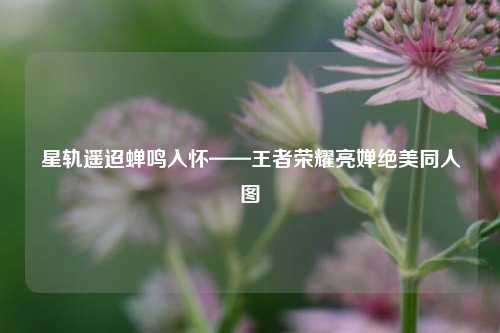 星轨遥迢蝉鸣入怀——王者荣耀亮婵绝美同人图