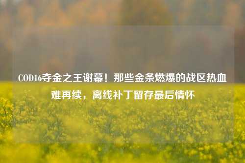 COD16夺金之王谢幕！那些金条燃爆的战区热血难再续，离线补丁留存最后情怀