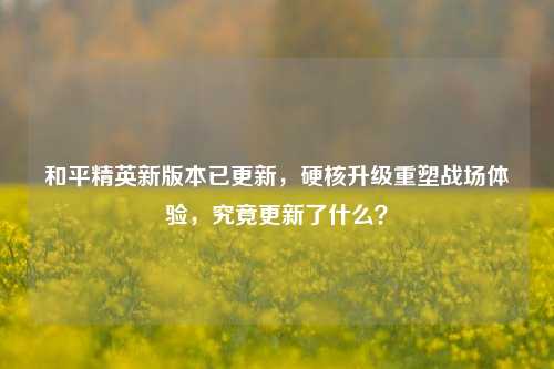 和平精英新版本已更新,硬核升级重塑战场体验,究竟更新了什么?