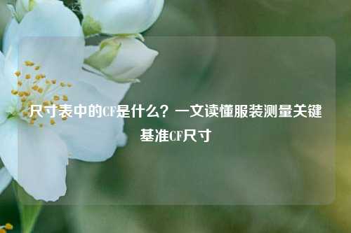 尺寸表中的CF是什么?一文读懂服装测量关键基准CF尺寸