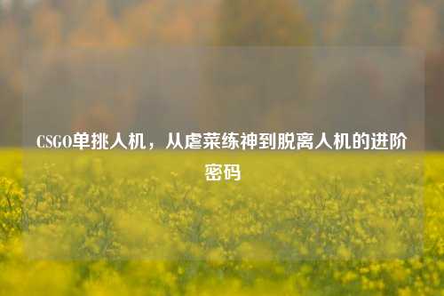 CSGO单挑人机,从虐菜练神到脱离人机的进阶密码