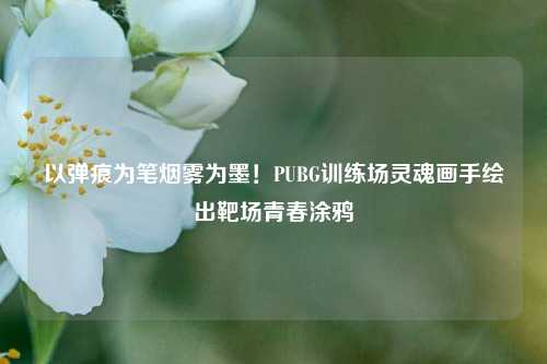 以弹痕为笔烟雾为墨!PUBG训练场灵魂画手绘出靶场青春涂鸦