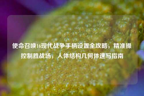 使命召唤16现代战争手柄设置全攻略,精准操控制胜战场,人体结构几何体速写指南