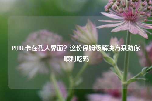 PUBG卡在载入界面?这份保姆级解决方案助你顺利吃鸡