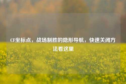 CF坐标点，战场制胜的隐形导航，快速关闭方法看这里