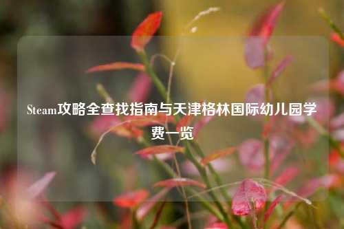 Steam攻略全查找指南与天津格林国际幼儿园学费一览