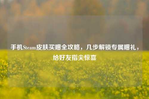 手机Steam皮肤买赠全攻略,几步解锁专属赠礼,给好友指尖惊喜