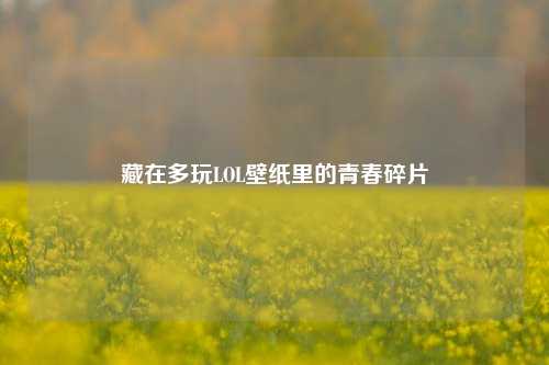 藏在多玩LOL壁纸里的青春碎片