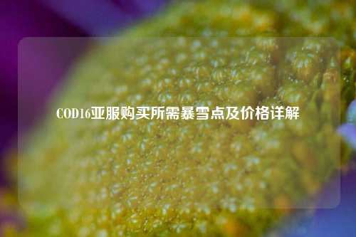 COD16亚服购买所需暴雪点及价格详解