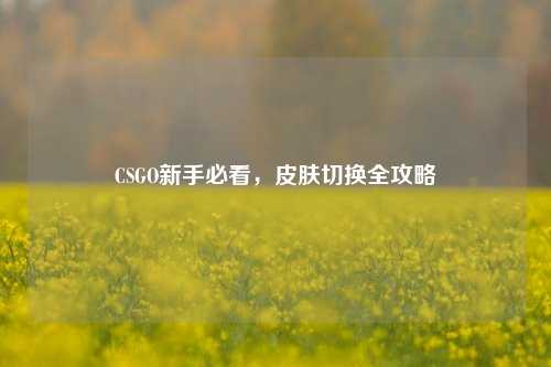 CSGO新手必看,皮肤切换全攻略