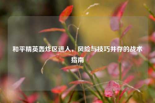 和平精英轰炸区进入,风险与技巧并存的战术指南