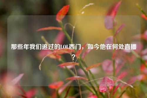 那些年我们追过的LOL西门,如今他在何处直播?