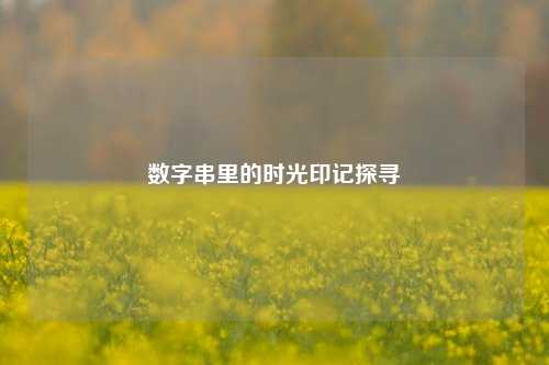 数字串里的时光印记探寻
