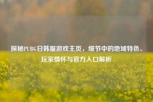 探秘PUBG日韩服游戏主页，细节中的地域特色、玩家情怀与官方入口解析
