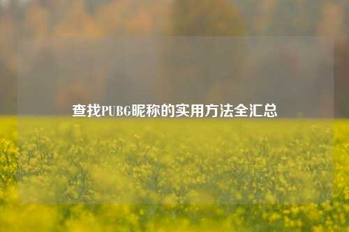 查找PUBG昵称的实用方法全汇总