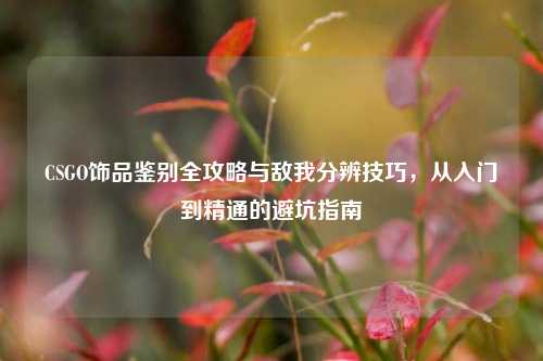 CSGO饰品鉴别全攻略与敌我分辨技巧，从入门到精通的避坑指南