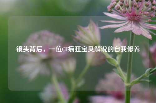 镜头背后,一位CF疯狂宝贝解说的自我修养