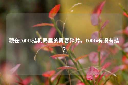 藏在COD16挂机局里的青春碎片，COD16有没有挂？