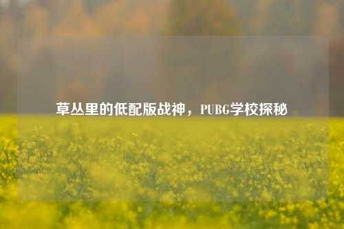 草丛里的低配版战神,PUBG学校探秘