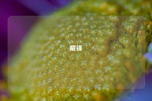 藏锋