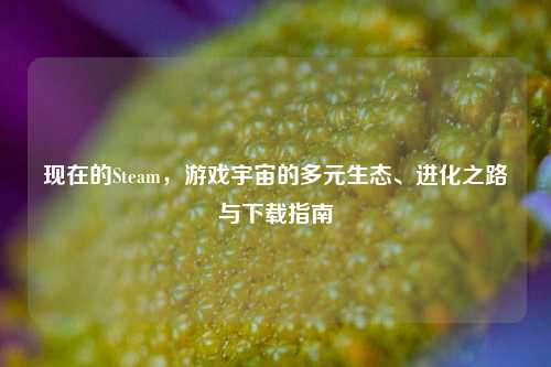 现在的Steam,游戏宇宙的多元生态、进化之路与下载指南