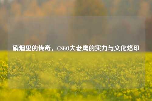 硝烟里的传奇,CSGO大老鹰的实力与文化烙印