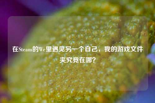 在Steam的We里遇见另一个自己,我的游戏文件夹究竟在哪?
