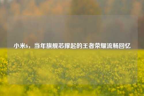 小米6,当年旗舰芯撑起的王者荣耀流畅回忆