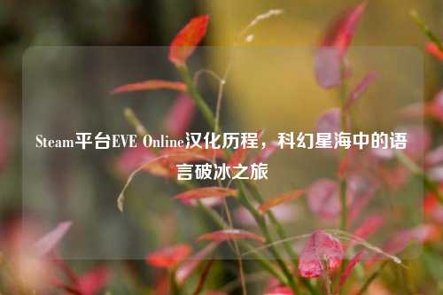 Steam平台EVE Online汉化历程,科幻星海中的语言破冰之旅
