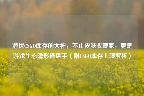 潜伏CSGO库存的大神,不止皮肤收藏家,更是游戏生态隐形操盘手(附CSGO库存上限解析)