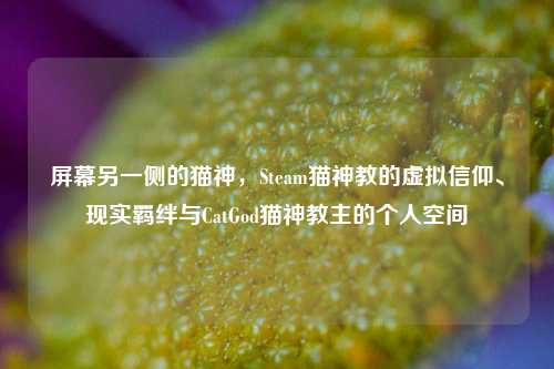 屏幕另一侧的猫神,Steam猫神教的虚拟信仰、现实羁绊与CatGod猫神教主的个人空间