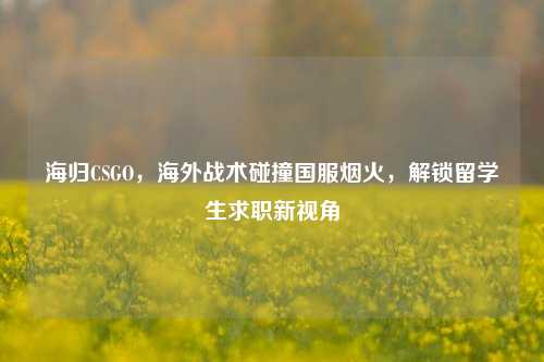 海归CSGO,海外战术碰撞国服烟火,解锁留学生求职新视角