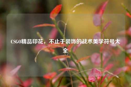 CSGO精品印花,不止于装饰的战术美学符号大全