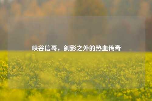 峡谷信哥,剑影之外的热血传奇