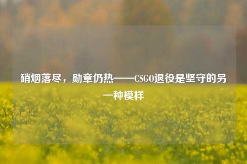 硝烟落尽,勋章仍热——CSGO退役是坚守的另一种模样