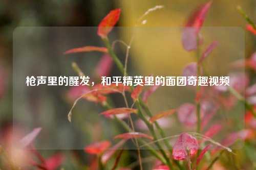 枪声里的醒发，和平精英里的面团奇趣视频